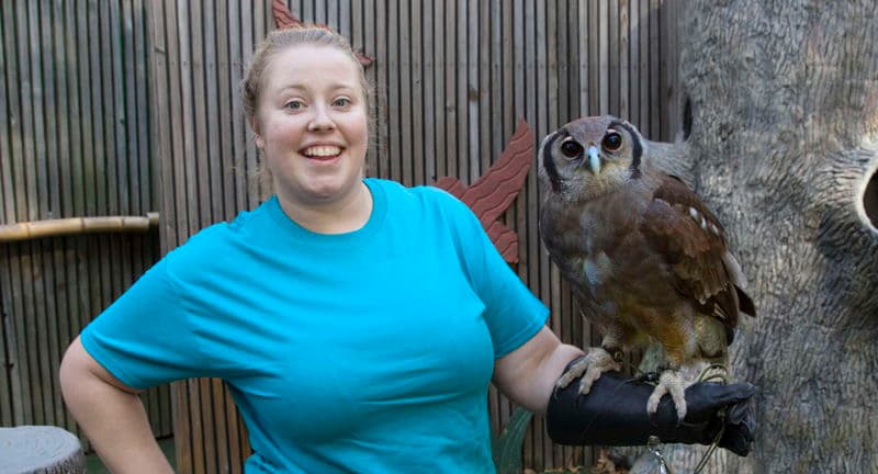 Trainer for a Day: World of Wild Theater